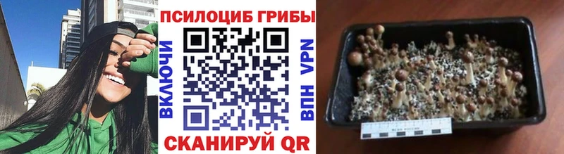 Псилоцибиновые грибы ЛСД Лыткарино