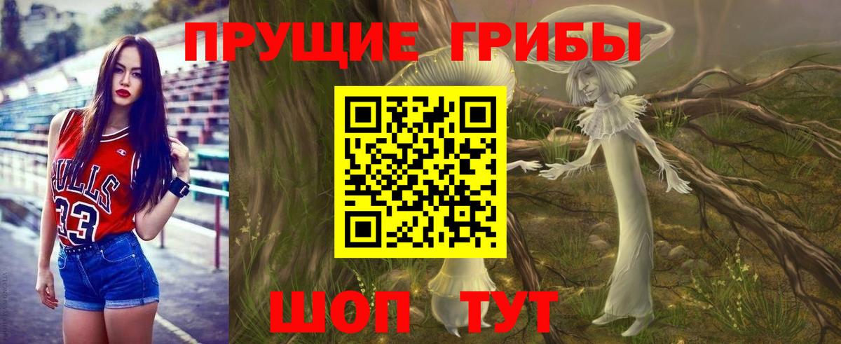 Галлюциногенные грибы GOLDEN TEACHER  где можно купить наркотик  Лыткарино  Вход с VPN 