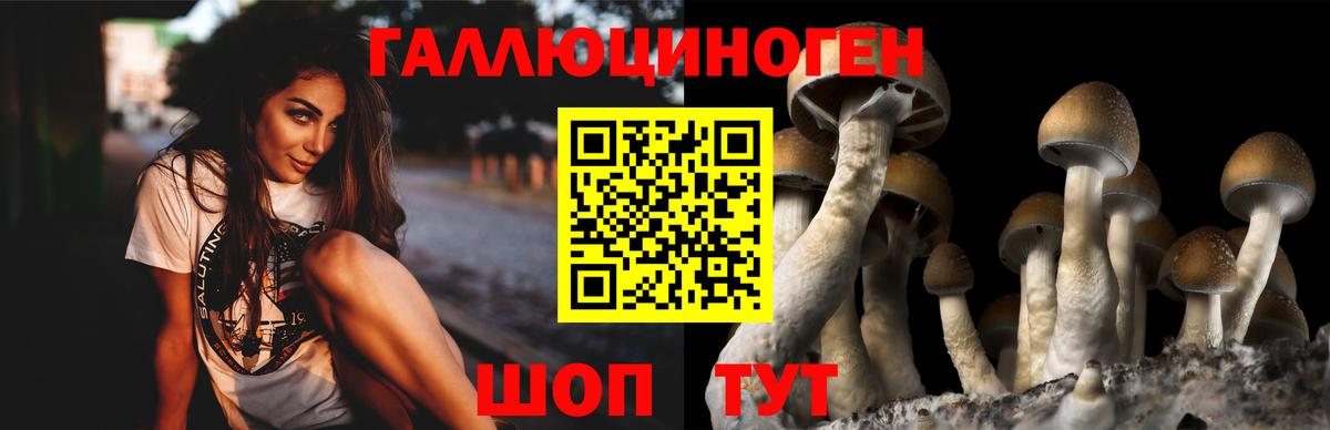 Псилоцибиновые грибы ЛСД Лыткарино